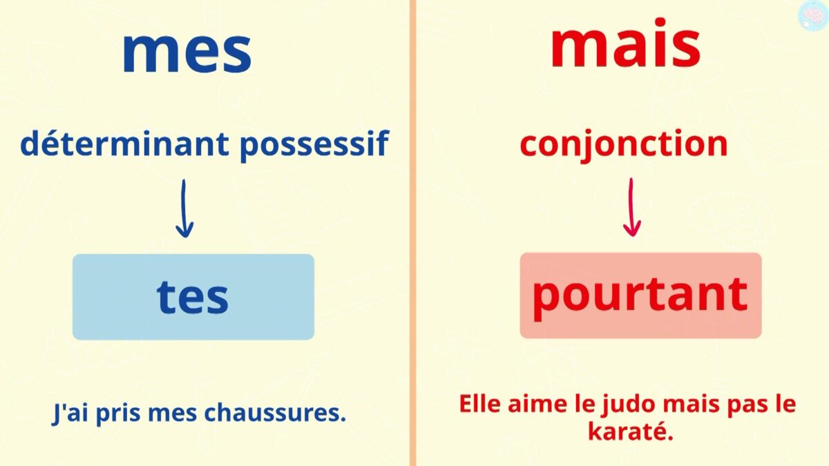 Homophones grammaticaux c est quoi CM1 CM2 Maître Lucas