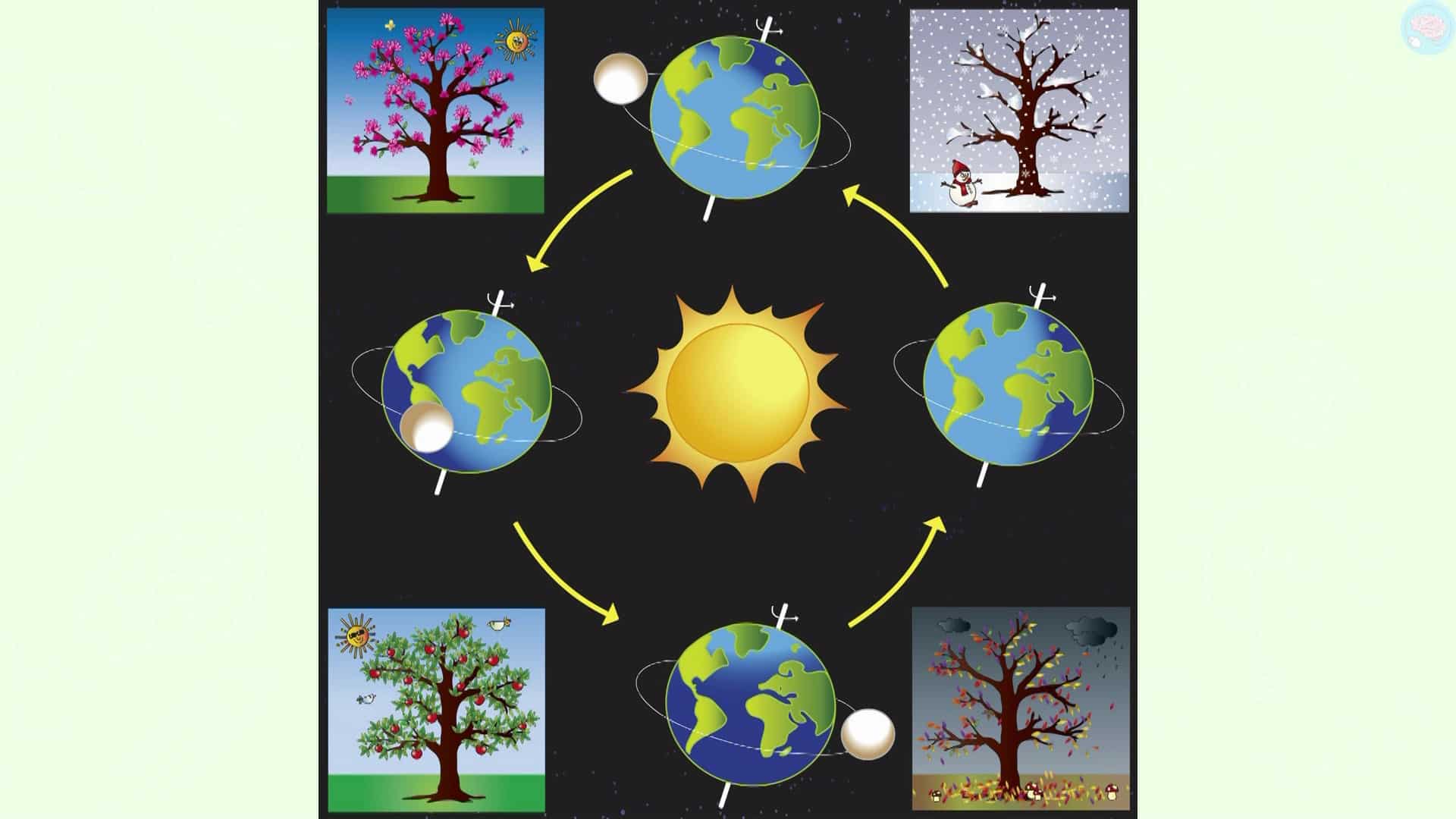 Les mouvements de la Terre pour CM1 CM2 Maître Lucas