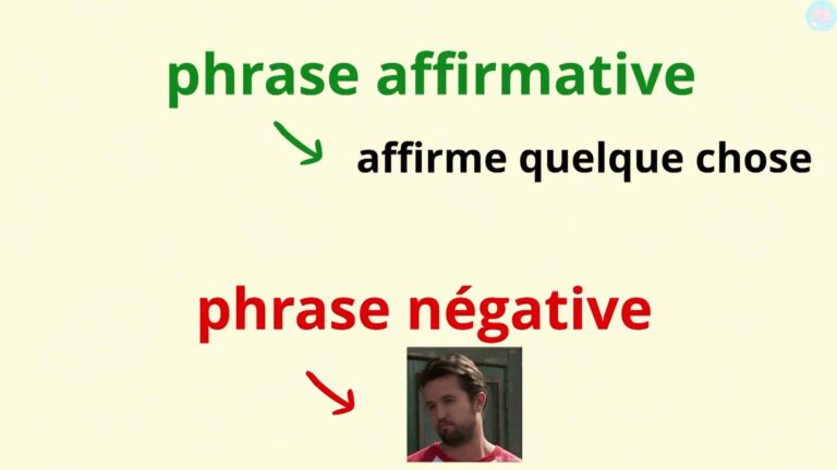 Les phrases affirmatives et négatives pour CE1 CE2 Maître Lucas