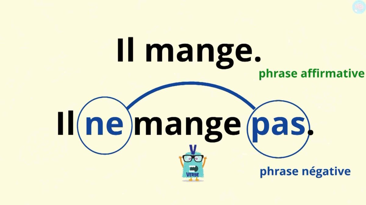 Les phrases affirmatives et négatives pour CE1 CE2 Maître Lucas