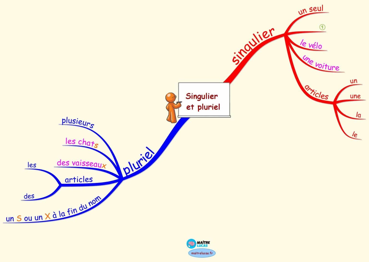 Le singulier et le pluriel les distinguer au CP et CE1 Maître Lucas
