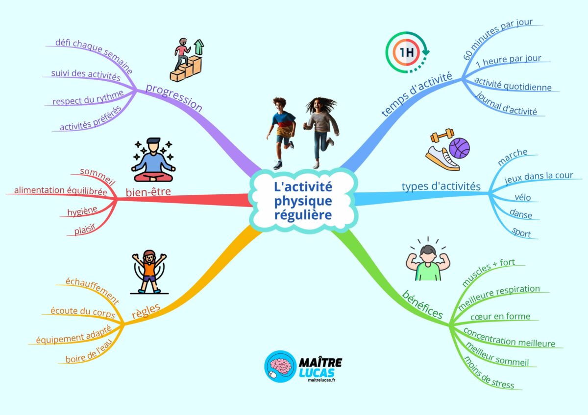 Carte mentale Activité physique régulière CP CE1 CE2 CM1 CM2