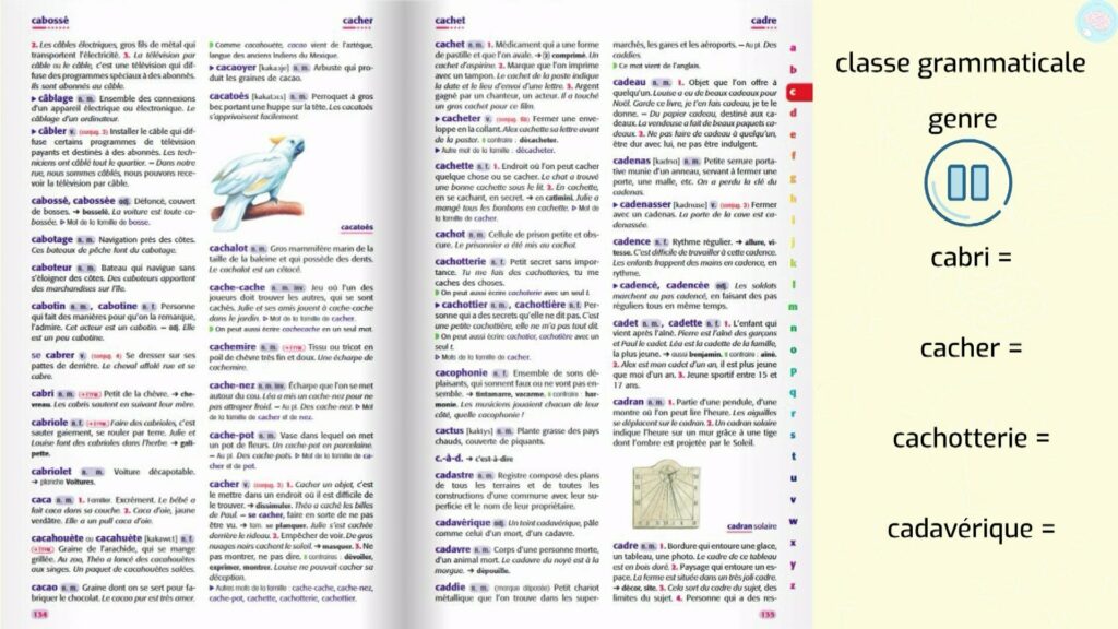 Exemple Article de dictionnaire CM1 CE2 CM2 Trouver la classe grammaticale et le genre de ces mots
