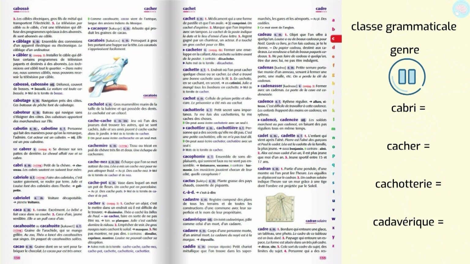 Article de dictionnaire pour CM1 CE2 CM2 Maître Lucas