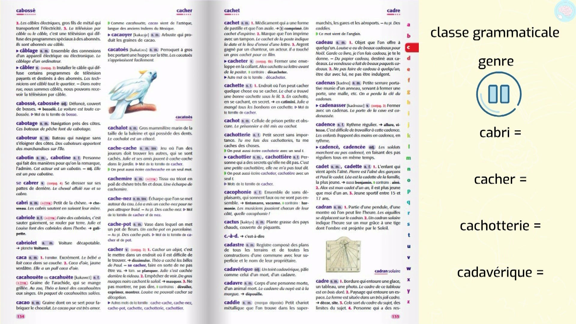 Article De Dictionnaire Pour Cm1 Ce2 Cm2 Maître Lucas 