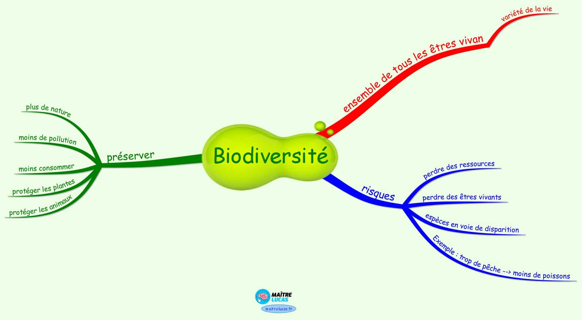 Carte mentale la biodiversité CP CE1 CE2