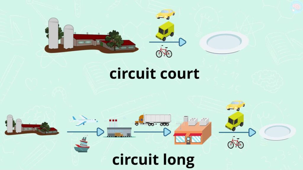 consommer en france : circuit long ou circuit court xm1 cm2