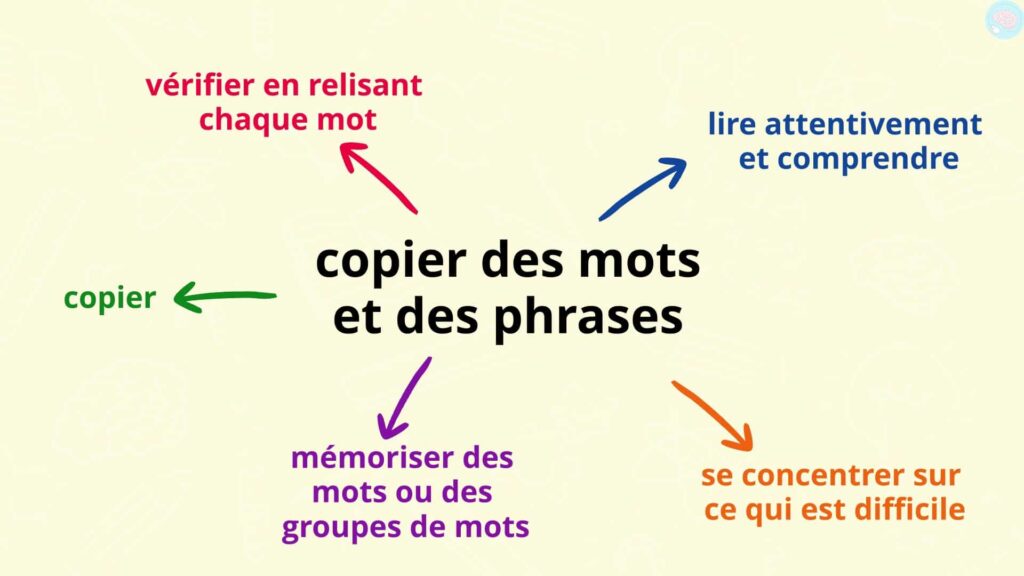 Résumé copier des mots et des phrases CE1 CE2