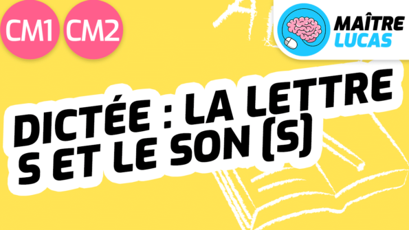 Leçon Dictée-lettre S et son s CM1 CM2