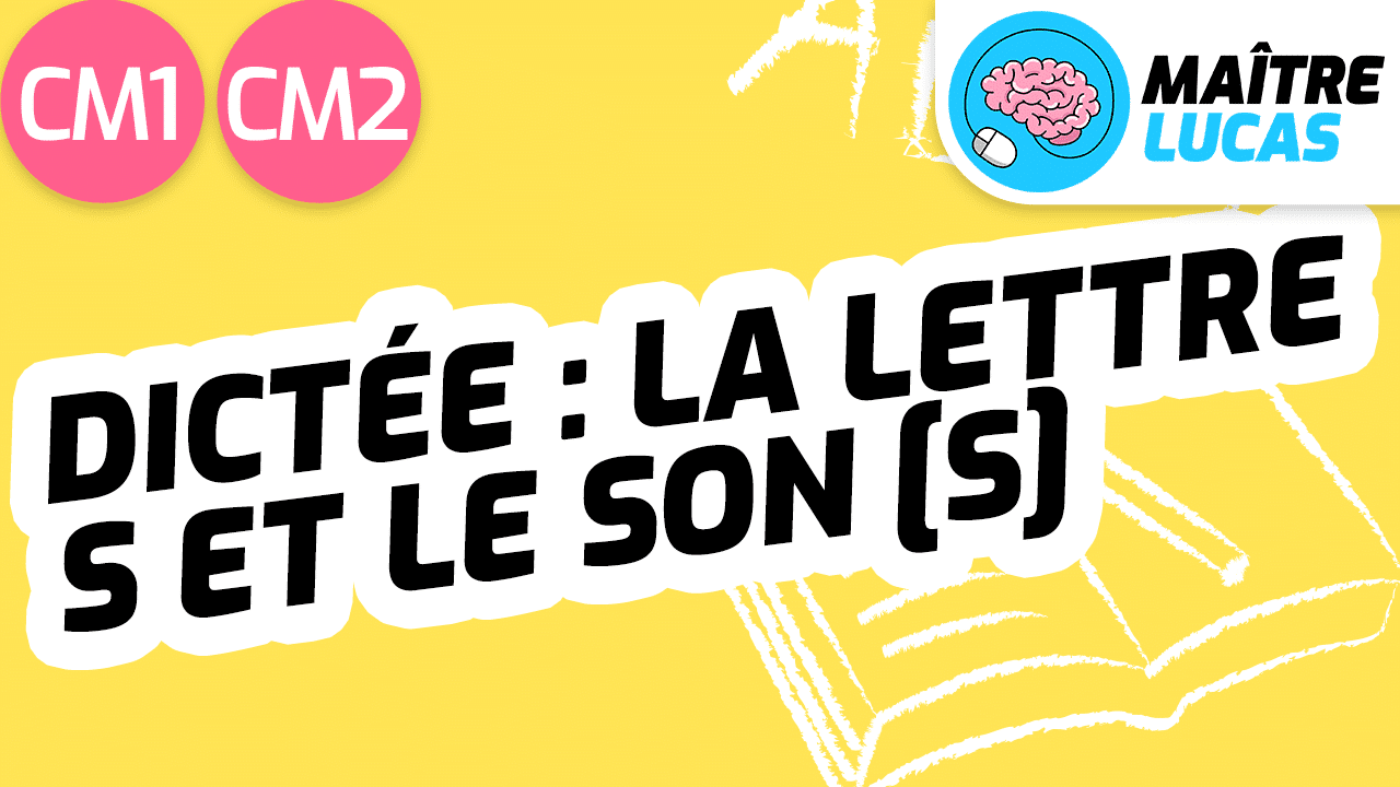 Leçon Dictée-lettre S et son s CM1 CM2