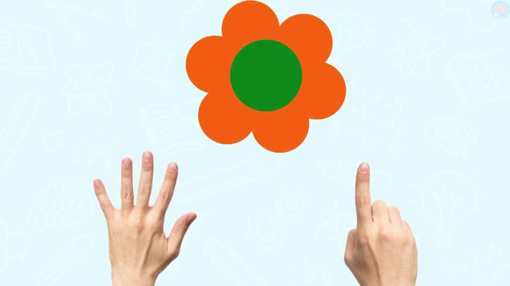 6 doigts une fleur