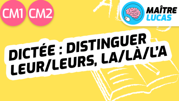 Leçon Distinguer leur-leurs, la-là-l’a CM1 CM2