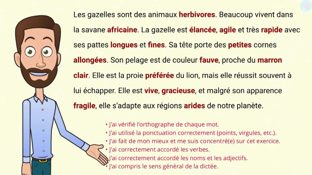 Dictée sur l'accord en genre dans le groupe nominal CM1 CM2