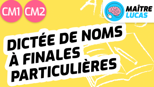 Leçon Dictée de noms à finales particulières CM1 CM2