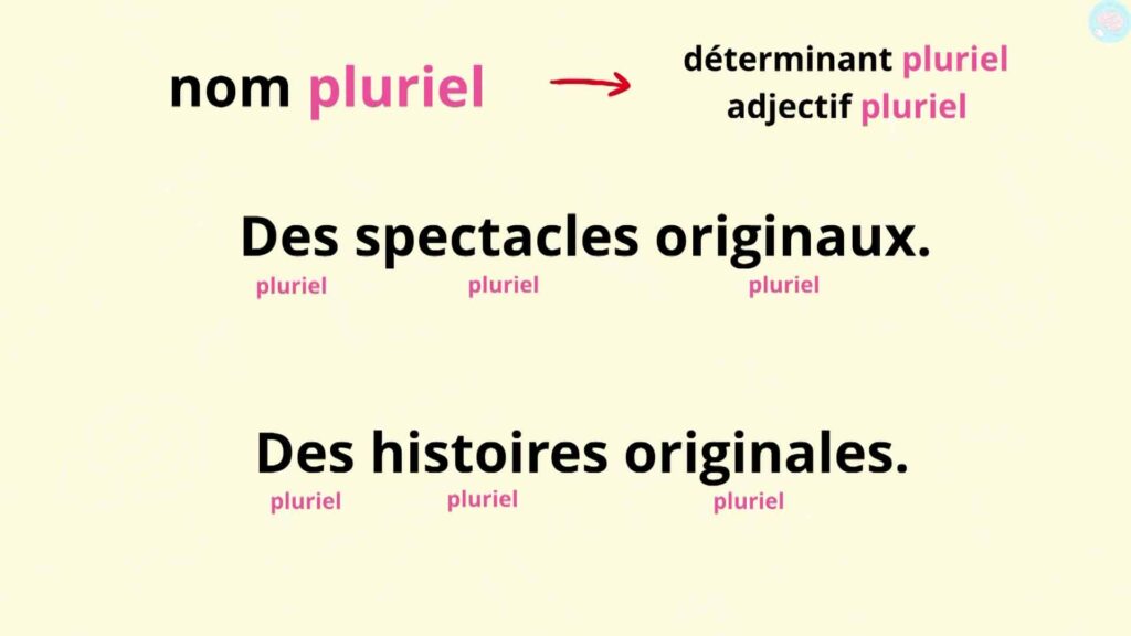 L'accord en nombre au pluriel CM1 CM2