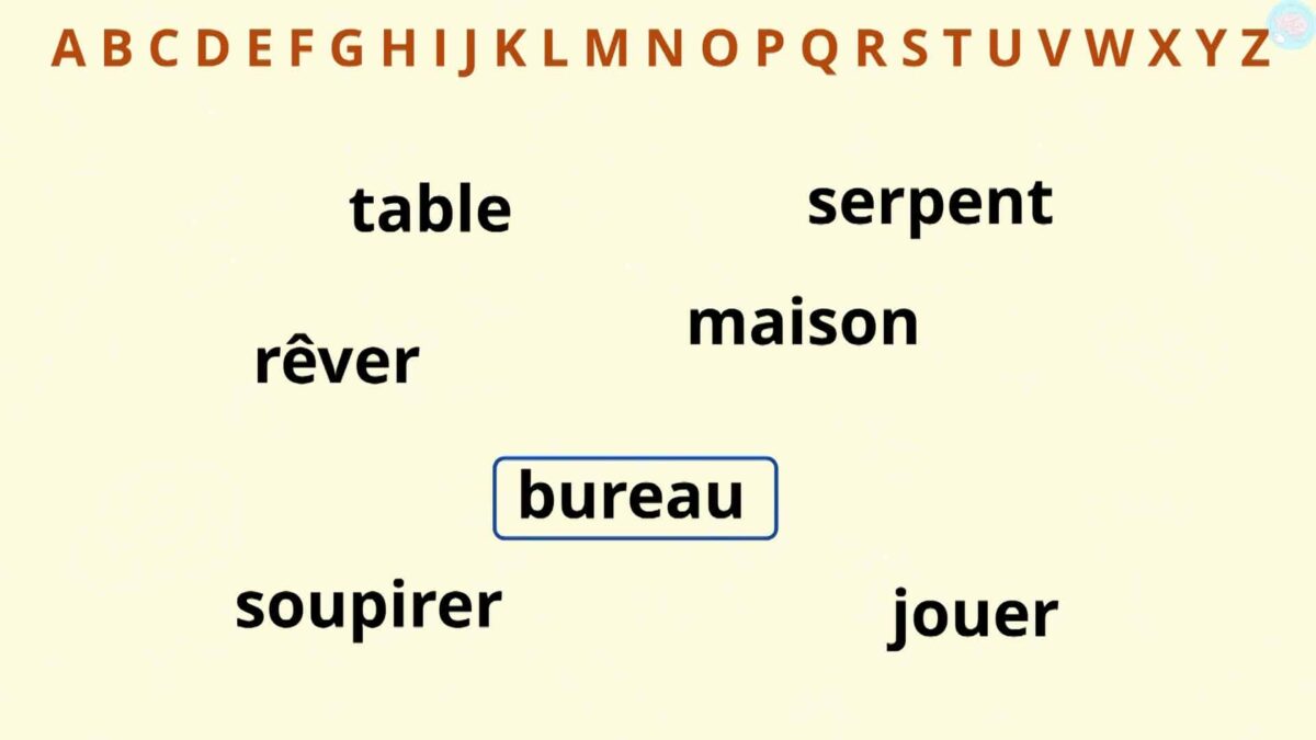 Le Dictionnaire, Comment L'utiliser ? Pour CE1 CE2 - Maître Lucas