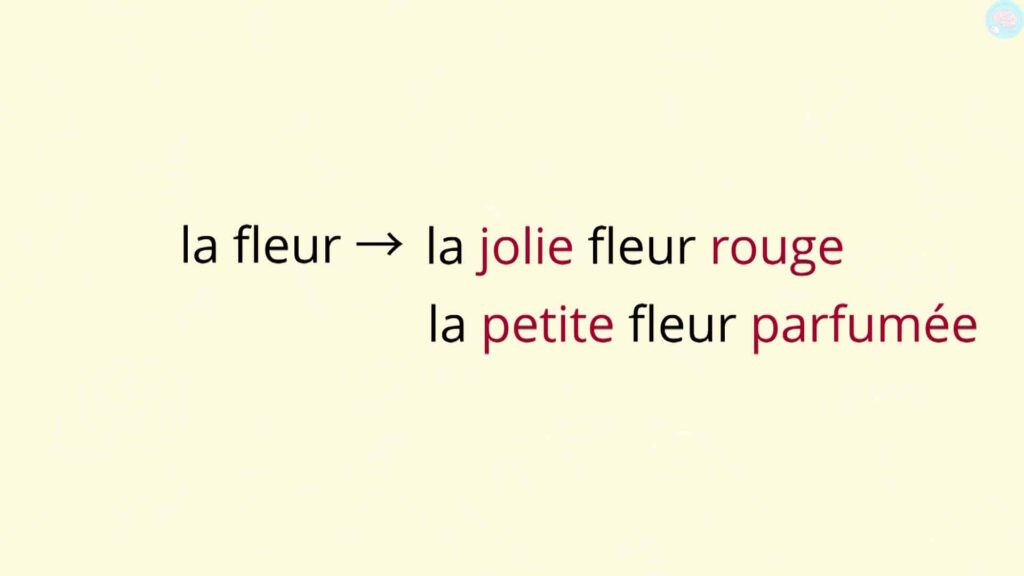 Suite exercices