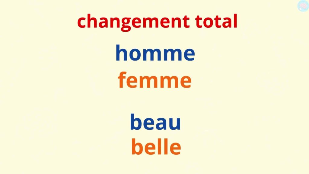former le féminin des noms et des adjectifs en changeant tout cm1 cm2