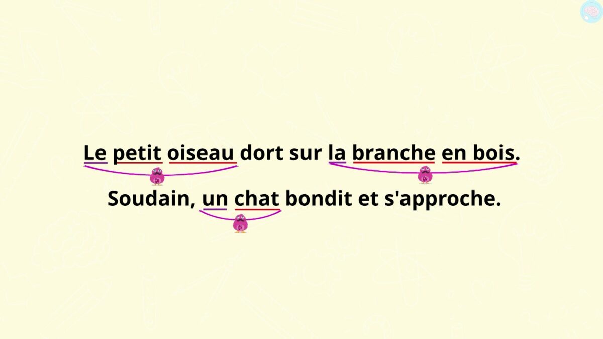 Comment Reconnaître Un Groupe Nominal Dans Une Phrase Le groupe nominal, c'est quoi ? Pour CM1 CM2 - Maître Lucas
