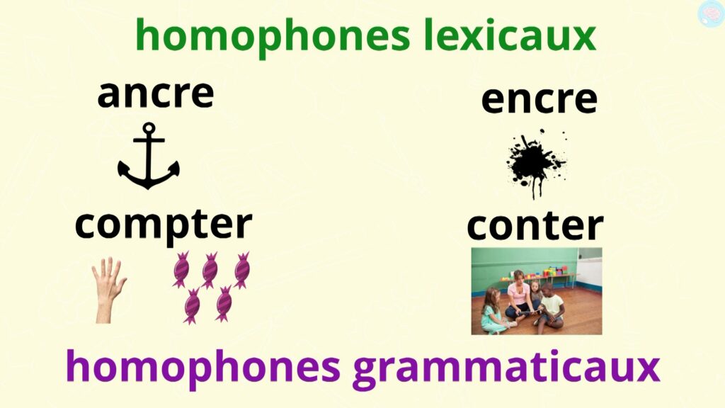 Homophones grammaticaux ou lexicaux ?
