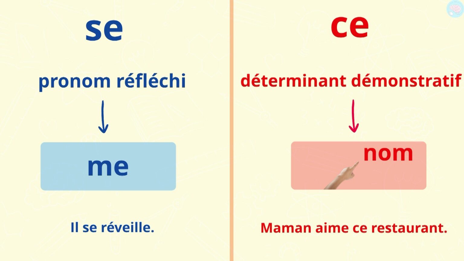 Homophones Grammaticaux, C'est Quoi ? CM1 CM2 - Maître Lucas