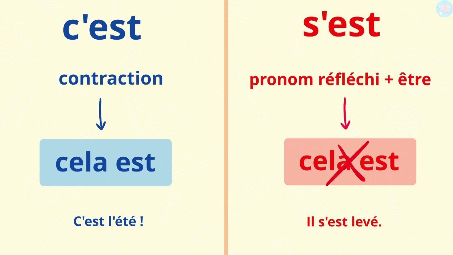 Homophones Grammaticaux, C'est Quoi ? CM1 CM2 - Maître Lucas