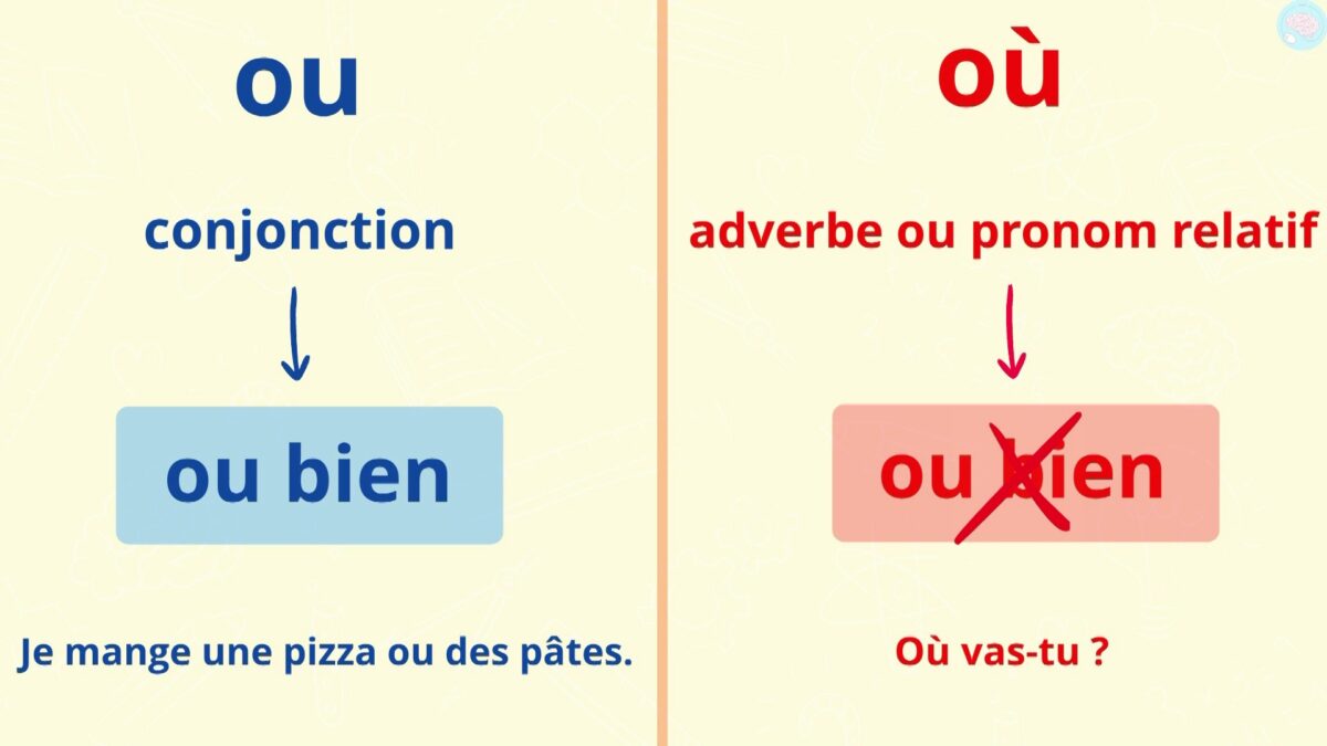 Homophones Grammaticaux, C'est Quoi ? CM1 CM2 - Maître Lucas