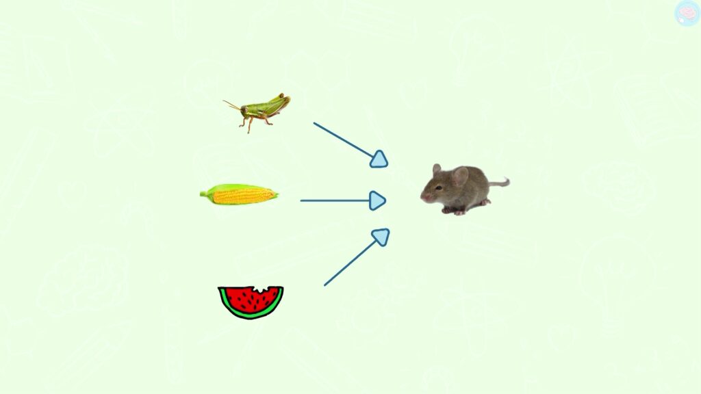 Ce que mange la souris

