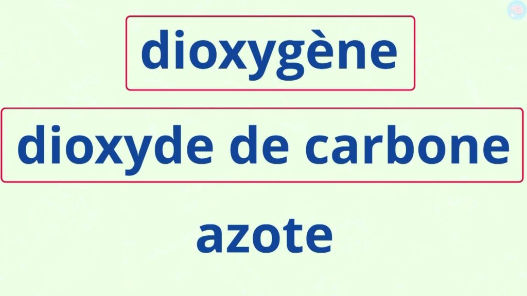 3 gaz dioxygène, dioxyde de carbone et azote