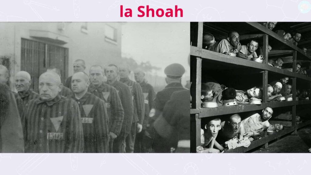 la shoah pendant la seconde guerre mondiale