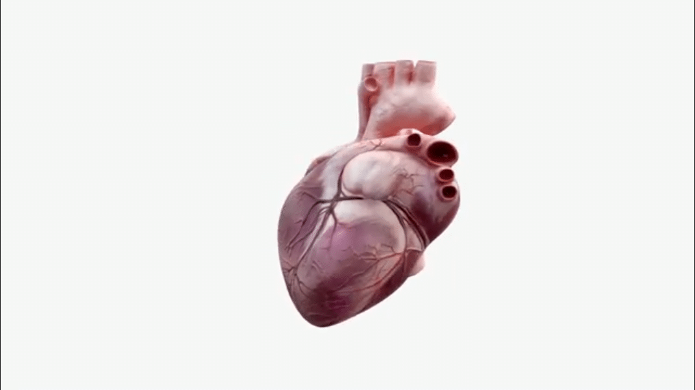 Un coeur