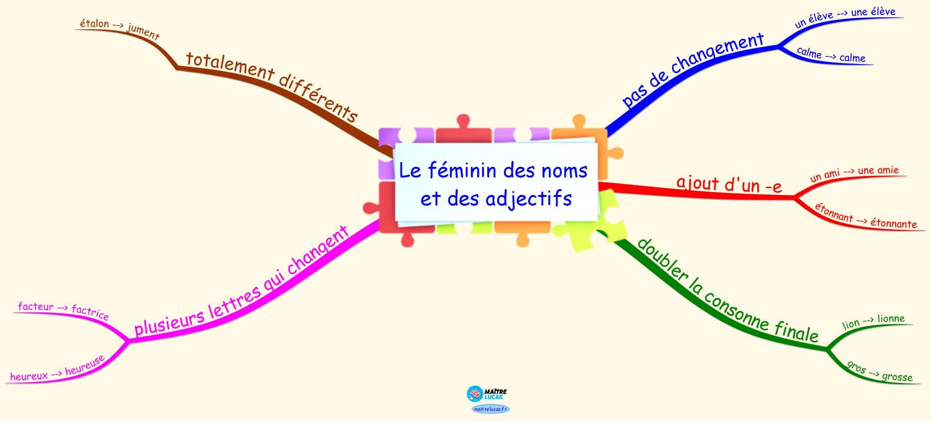 Carte mentale le féminin des noms et des adjectifs cm1 cm2