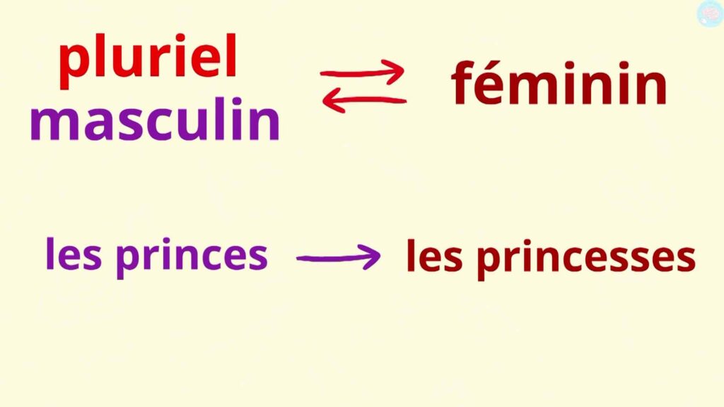 Genre des noms au pluriel féminin et masculin CP CE1 CE2