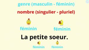 Les Adjectifs CE2, Les Identifier Et Les Utiliser - Maître Lucas