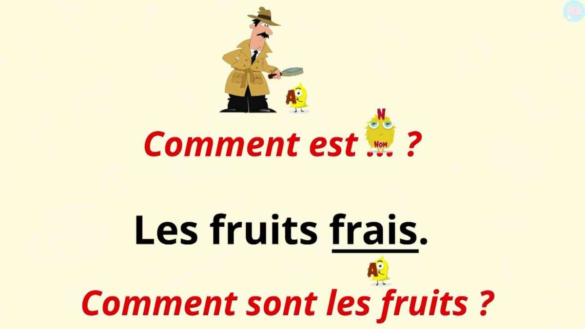 Les Adjectifs CE2, Les Identifier Et Les Utiliser - Maître Lucas