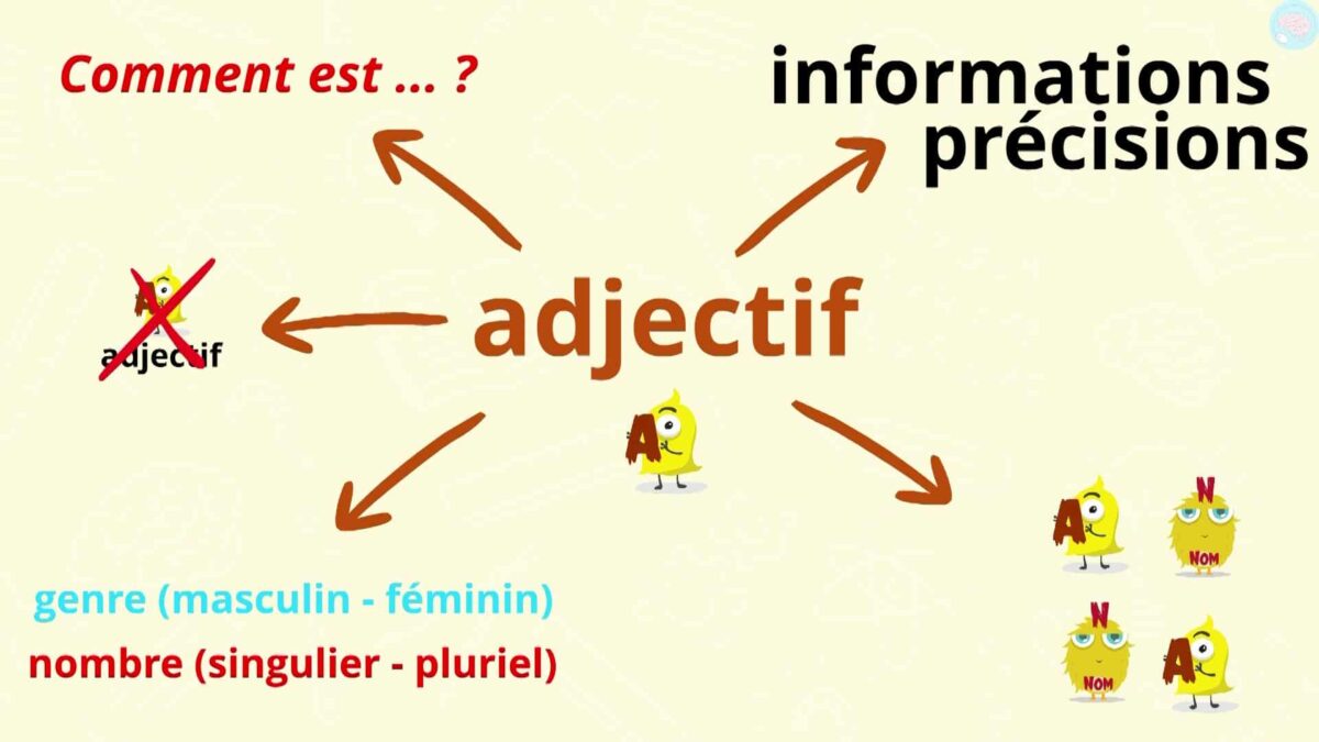 Les adjectifs CE2, les identifier et les utiliser Maître Lucas