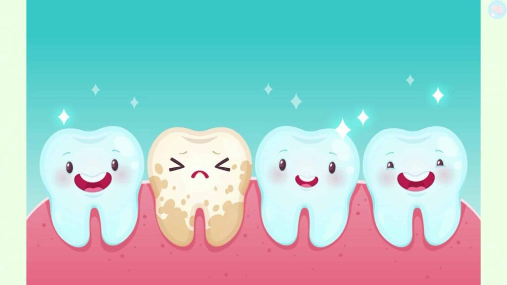 Exercices sur les dents CP CE1 CE2 une bonne hygiène ?