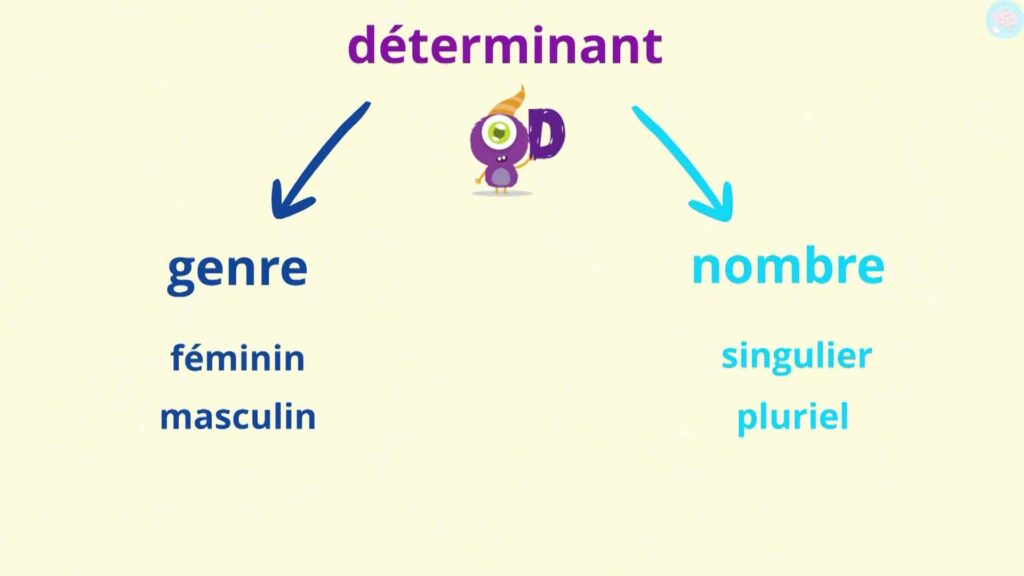 Les déterminants indiquent le genre et le nombre CM1 CM2