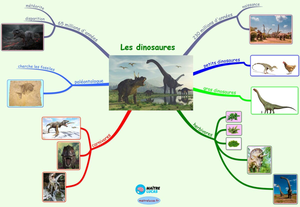 Carte mentale les dinosaures CP CE1 CE2