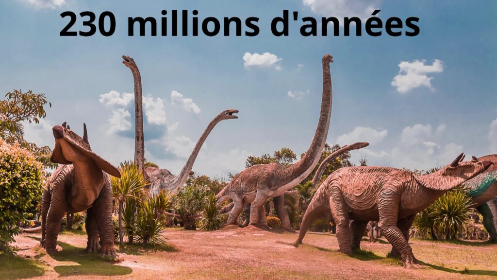Les dinosaures vivaient il y a 230 millions d'années