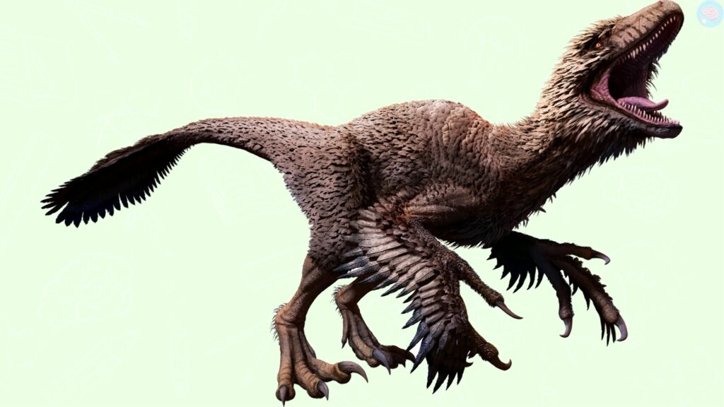 Les dinosaures avaient des plumes partout sur le corps