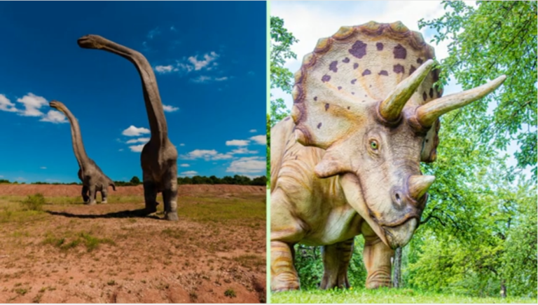 Les Dinosaures, Comment Vivaient-ils? CP CE1 CE2 - Maître Lucas