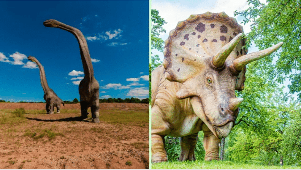 Les dinosaures herbivores comme les diplodocus et tricéraptos
