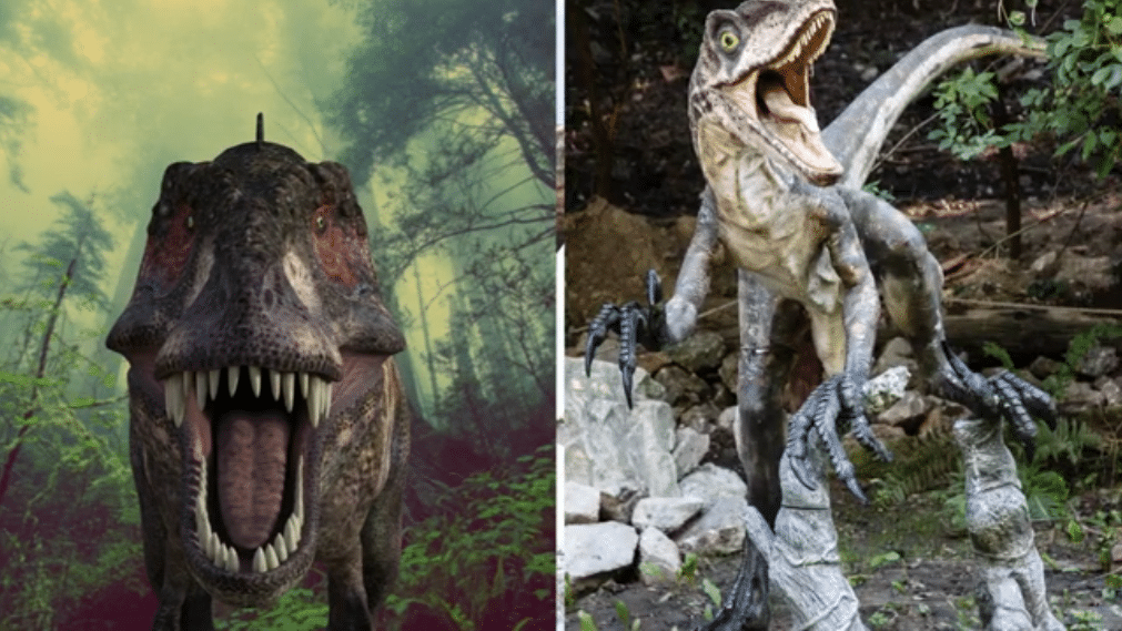 Les dinosaures carnivores comme les vélociraptors et les tyrannosaures