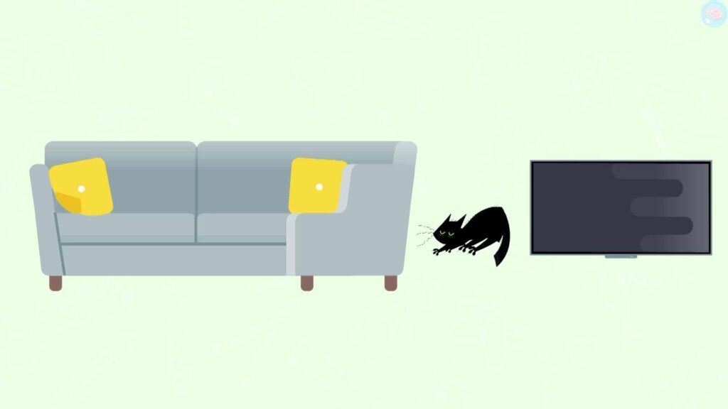 Le chat entre le fauteuil et la TV