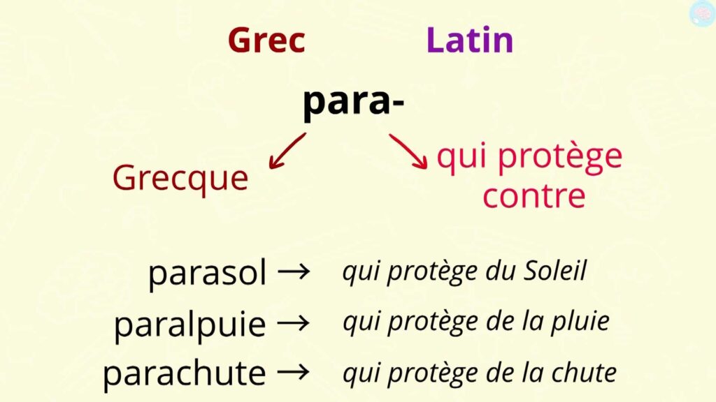 Mot d'origine grecque ou latine ?