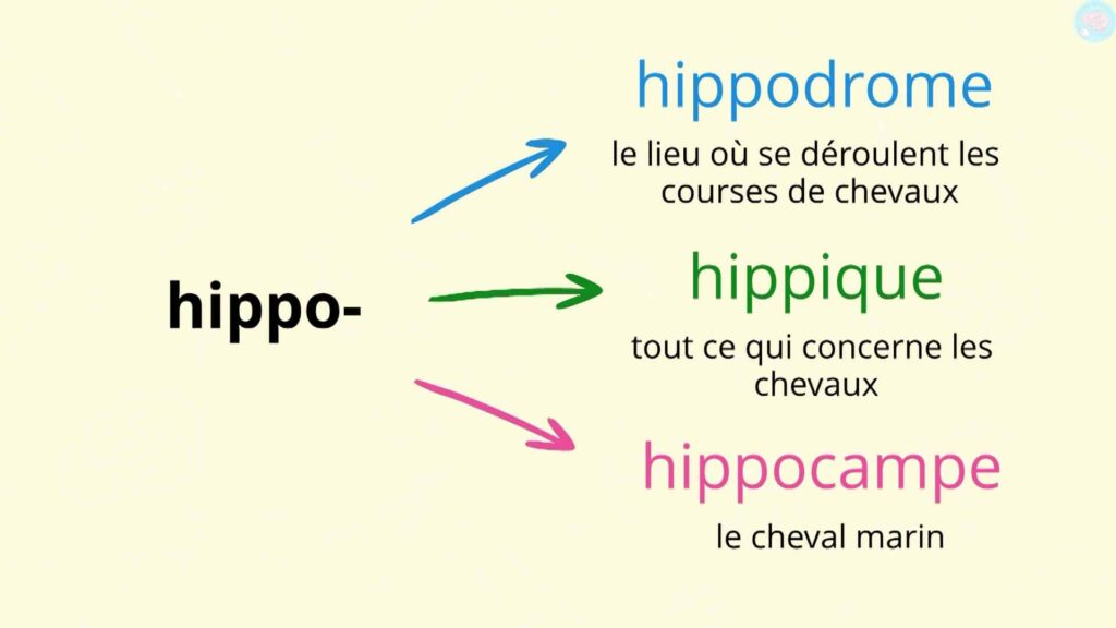 Exemples les mots d'origine grecque ou latine CE2 CM1