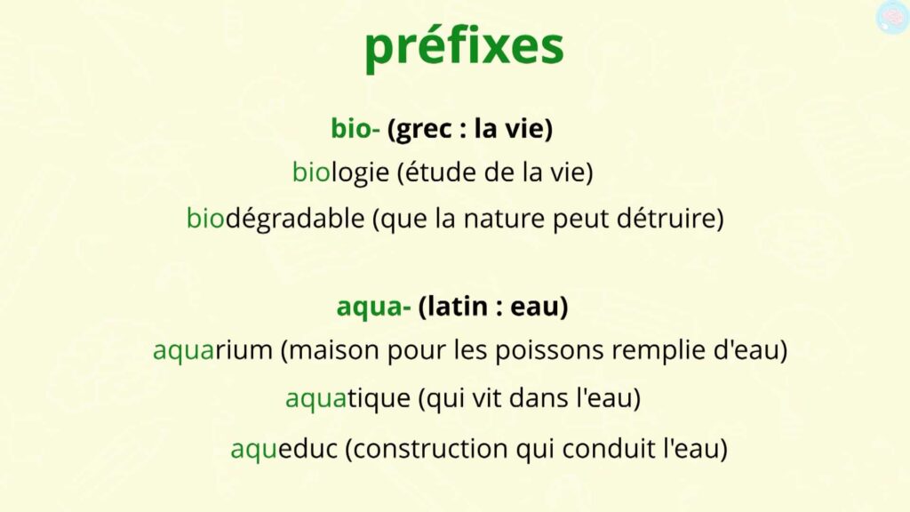 Les préfixes d'origine grecque ou latine