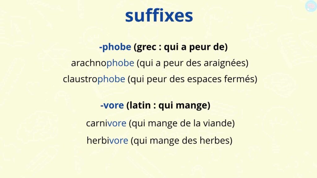 les suffixes