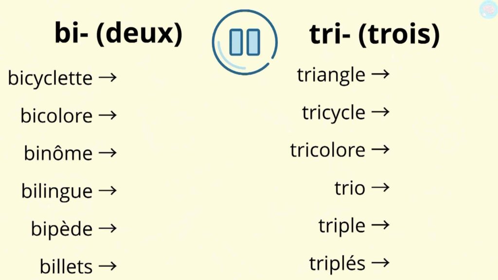 Exercices sur Les mots d'origine grecque et latine CE2 CM1